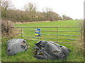 Field by New Farm Coppice