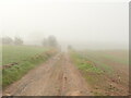 Farm track, Hampton Park