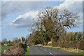 NU2002 : Road near Acklington Park by Jim Barton