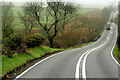 A487 northwest of Penmorfa