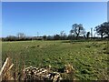 Field beside Barton Village Hall