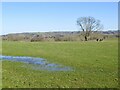 View towards Broad Heath