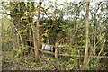 Overgrown pillbox