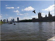 TQ3079 : View from Westminster Bridge by Bartolo Creations 