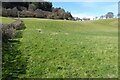 Field below Bucknell Wood