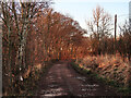 Track near Auchenheath