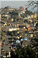 Torquay from Chapel Hill