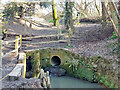 Drain emerging into woodland, Bedelands Farm local nature reserve