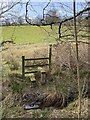 Stile on the Heart of Wales Line Trail