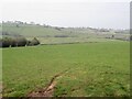 Field, Oakfield