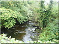 Kelty Water at Dalmary bridge