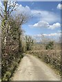 Lane leading to Pantglas Farm