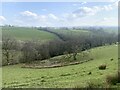 Carmarthenshire countryside