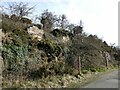 Wall by the Prestonhill Quarry