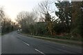 Western Avenue, Daventry