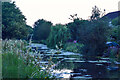 Sampford Peverell : Grand Western Canal