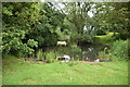 TL3561 : Pond, Childerley by N Chadwick