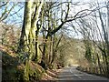 A396 north of Quarme Bridge