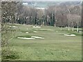 An array of bunkers on Aberdour golf course