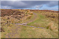 SO2928 : On Hatterrall Ridge by Ian Capper