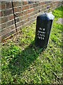 Estate boundary marker, Blue Anchor Lane, West Tilbury