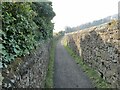 Fife Coastal Path