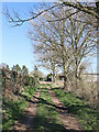 Wet bridleway at Mose near Quatford, Shropshire