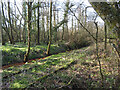 Disused railway near Pontyates