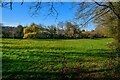 Wiveliscombe : Grassy Field