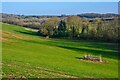 Bathealton : Grassy Field