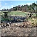 Gate into grass field