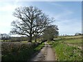 Minor road to Partridge Walls Cross