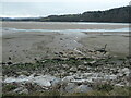 SH7977 : Mud banks, Conwy estuary by Christine Johnstone