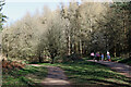 Dudmaston Comer Woods near Quatford in Shropshire