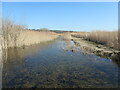 SE4202 : Open water between reedbeds, RSPB Old Moor by Christine Johnstone