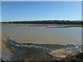 Field Pool, from Field Pool West hide, RSPB Old Moor