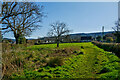 Blagdon Hill : Grassy Field