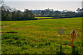 ST2019 : Blagdon Hill : Grassy Field by Lewis Clarke