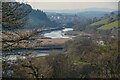 Ashprington : River Dart