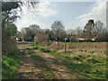 Footpath 1541 towards Rusper Road