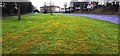 Wide verge between Haweswater Road  and pavement