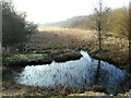 Loch Ardinning