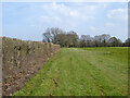 Footpath 1510 towards Ifield