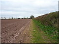 Bridleway heading for Atchley House Farm