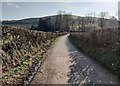 Track near Gaerstones Farm