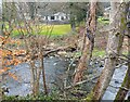 River at Shotley Bridge