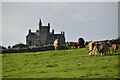 G7056 : Cattle with Classiebawn Castle behind by N Chadwick