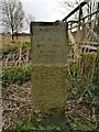 TL6805 : Writtle commemorative parish boundary stone by Paul Jones