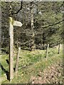 Signpost to Coed Ty-Mawr