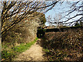 Path, Ifield Brook Meadows